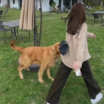 老爸老妈看我的第一季